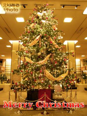 2014年帝国ホテルのクリスマスツリー
